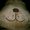 Photo of D T.