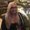 Photo of Lindsay T.