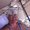 Photo of Lisa M.