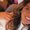 Photo of Alyssa N.