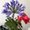 Photo of Lori L.