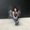 Photo of Iara A.