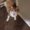 Photo of Dottie B.