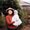 Photo of Linda Y.