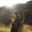 Photo of Jacquelyn H.