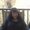 Photo of Tammy C.