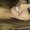 Photo of Vanessa V.