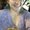 Photo of Alyssa C.