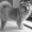 Photo of La La E.