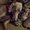 Photo of Tomasa S.