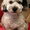 Photo of Kelly Y.