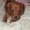 Photo of Kayu W.
