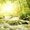 Photo of Yachaan R.