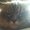 Photo of Ariane L.