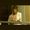 Photo of Rena V.