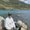 Photo of Arindam P.