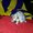 Photo of Patreece B.