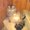 Photo of Cindy S.