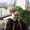 Photo of Maceo M.