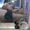 Photo of Cinthia P.