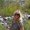 Photo of Kathy S.