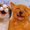Photo of Cityvox User (michae…)