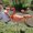 Photo of Penny R.