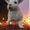 Photo of GhostlyGamer G.