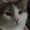 Photo of Tabby K.
