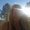 Photo of Emilie B.
