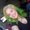 Photo of Joyana R.