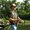 Photo of Ryan S.