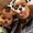 Photo of Zulema M.