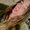 Photo of Lauren I.