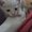 Photo of Molly N.