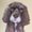 Photo of Dogmom W.