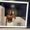 Photo of Tamia W.