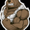 Photo of Ger-Bear M.