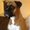 Photo of Lainie S.