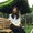 Photo of Jingyi H.