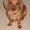 Photo of Gina S.