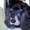 Photo of Becky D.