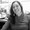 Photo of Alyson F.