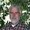 Photo of Stephen W.