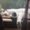 Photo of Soomin H.