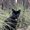 Photo of Gigi A.