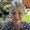 Photo of Julie H.