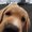 Photo of Pri Y.