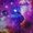 Photo of Ariana S.