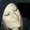 Photo of Amy S.
